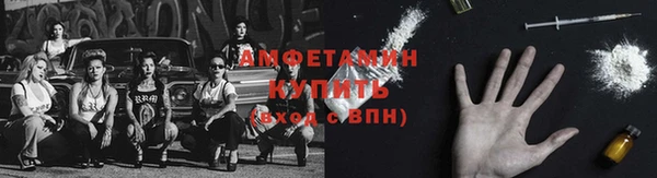 мдпв Магас