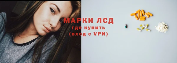 мдпв Магас