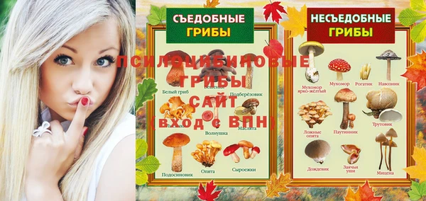 ГАЛЛЮЦИНОГЕННЫЕ ГРИБЫ Киселёвск