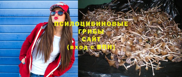 герыч Майский
