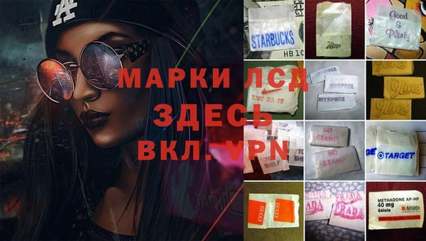 ГАЛЛЮЦИНОГЕННЫЕ ГРИБЫ Киселёвск