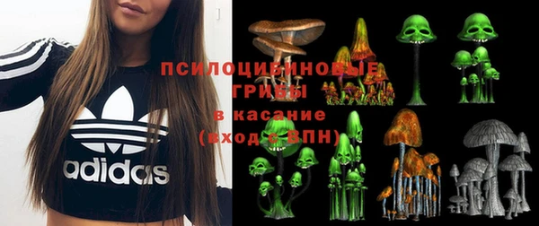 не бодяженный Магадан