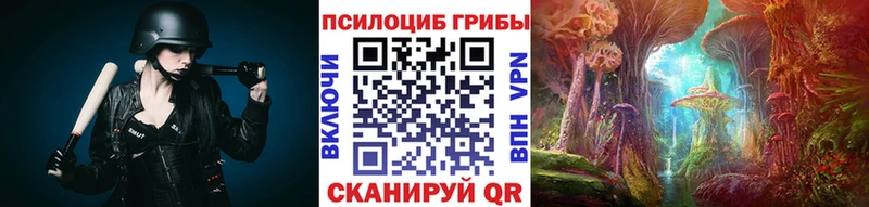 Псилоцибиновые грибы Psilocybe Новохопёрск